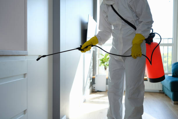 Best Mold Testing  in Mcdonald, PA
