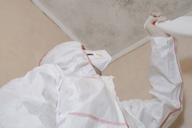 Best Office Mold Removal Services  in Mcdonald, PA